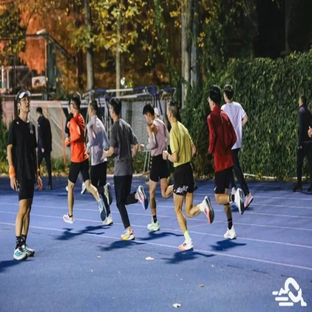 洞悉新闻动态：关键趋势与数据背后的深度解析